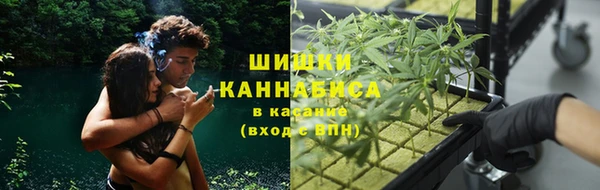 мет Абаза