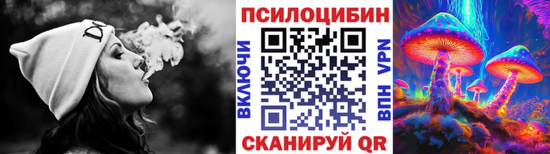 Галлюциногенные грибы Psilocybine cubensis  Анадырь 